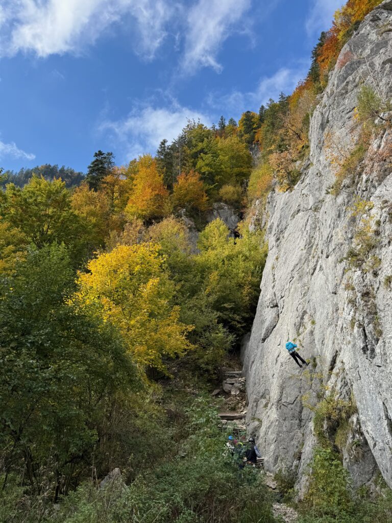 Felsausflug https://www.iwdr.de/wp-content/uploads/2025/11/Felsausflug-768x1024.jpeg